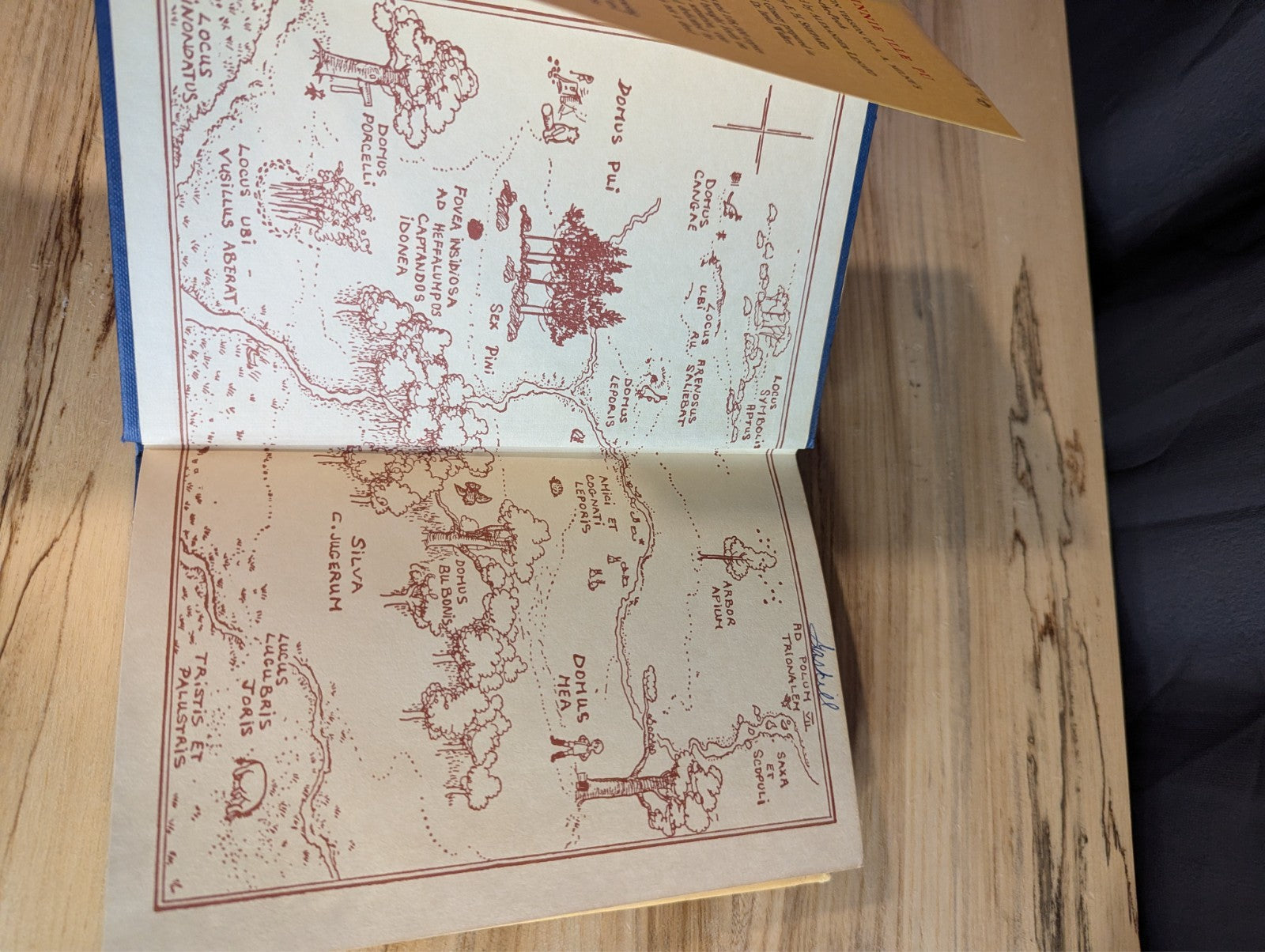 Vintage 1960s Winnie Ille Pu, Latin Translation, Hardcover